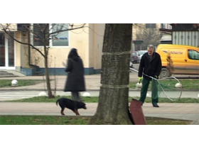 Manje pasa lutalica na ulicama pećinačkih naselja